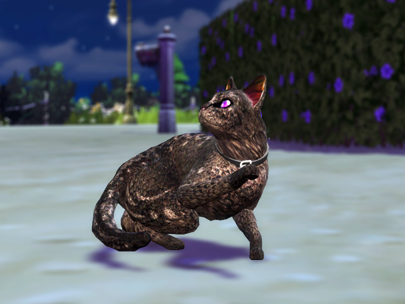 The Sims Resource - Pets