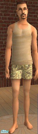 Sims 2 — Mr Conseravtive - Fronds by MsPixie618 — Frond print undies for those modest Sims.