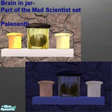 Sims 2 — Mad Scientist set -Shelf with Brain by Paleoanth — It is Abby Normal. Poor girl. The brain can be recolored. 