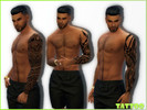 Sims 4 — Sleeve Tattoo by Summer_Sims2 — 3 Different sleeve tattoo for male 
