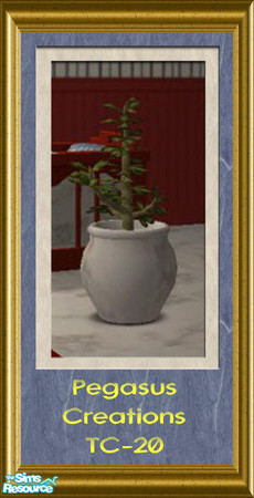 Sims 2 — TC20-Jade Plant by pegasussims — A Jade Plant with the pot made with the texture challenge 20 textures. 
