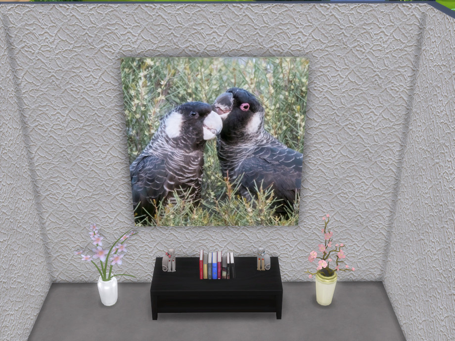 The Sims Resource | Australian Birds Collection large