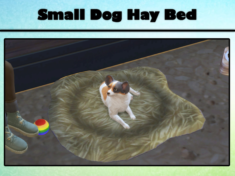 Sims 4 Small Dog Hay Bed by Libby_Letters