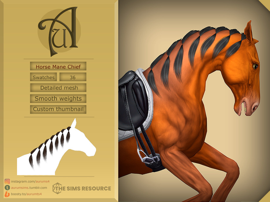 Horse Mane Braids - Helpful Horse Hints