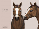 Sims 4 — Bridle Fulco by MahoCreations — This leather bridle contains the same colors as the EA Maxis saddle colors to