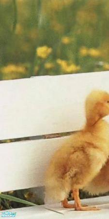 Sims 2 — Animal Wallpaper No 6 left by huntress2005 — Part of Animal Wallpaper Set Part 2 made by huntress