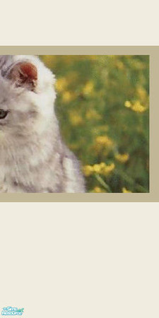 Sims 2 — Animal Wallpaper No 3 right by huntress2005 — Part of Animal Wallpaper Set Part 2 made by huntress