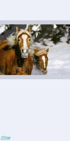 Sims 2 — Animal Wallpaper No 7 middle by huntress2005 — Part of Animal Wallpaper Set Part 1