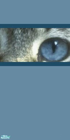 Sims 2 — Animal Wallpaper No 5 middle by huntress2005 — Part of Animal Wallpaper Set Part 1