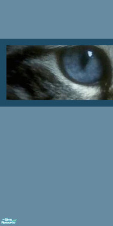 Sims 2 — Animal Wallpaper No 5 left by huntress2005 — Part of Animal Wallpaper Set Part 1