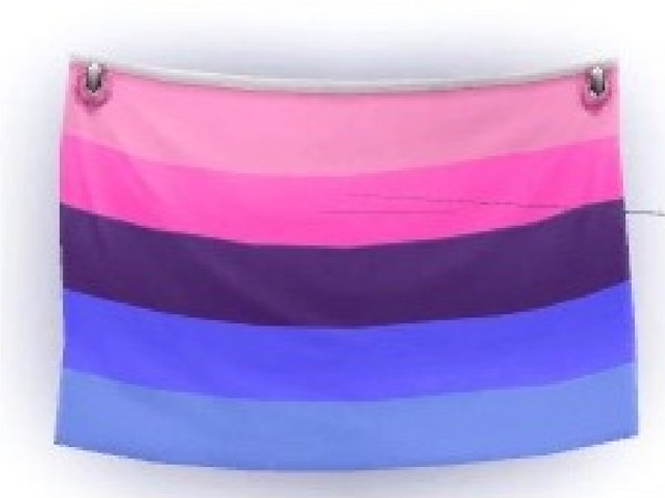 Sims 4 — More pride flags!! by nem4 — Omni, aro_aceflux, demifluid, demifluid (nby fixed), demiace_aro, aroace,