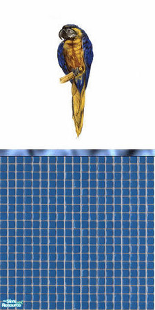 Sims 2 — blue parrot by skinflin — blue parrot against white wall with blue rail and small blue tiles..tsraa