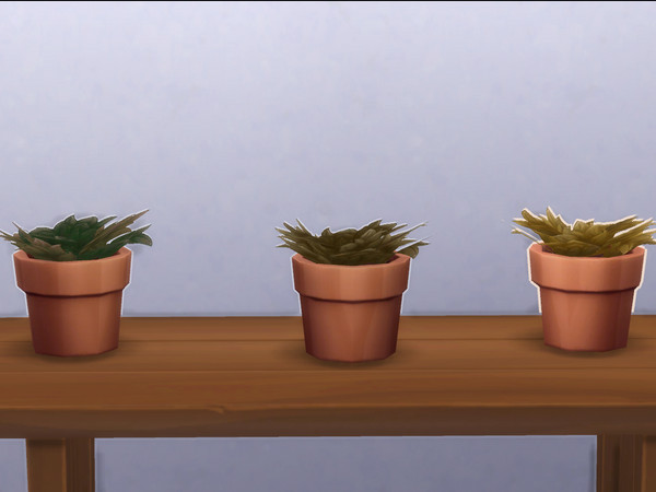 Sims 4 — Mega Fern Fully Dead| dead plants thatsadsack by jasey234 — 2 dead Base Game plants