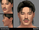 Sims 4 — Beard N5 by SimVeronica — Mustache for ages teen to elder, 24 swatches.