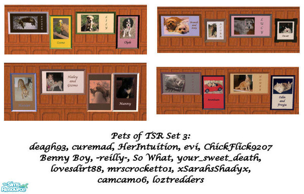 Sims 2 — Pets of TSR Set 3 by jennikj — The Pets of TSR Set 3 *TSRAA*