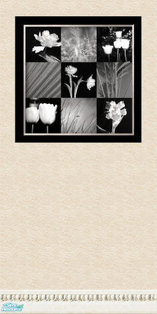 Sims 2 — picture frame wall set - Individual Item by skinflin — wall 2-part of set