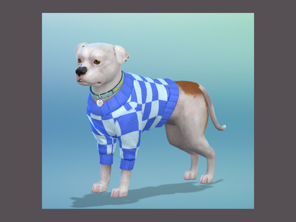Sims 4 — Large Dog Jumper Electric Blue.package by Konswella — Checkered jumper for small and large dogs