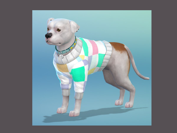 Sims 4 — Small Dog Jumper Pastel Check.package by Konswella — Checkered jumper for small and large dogs
