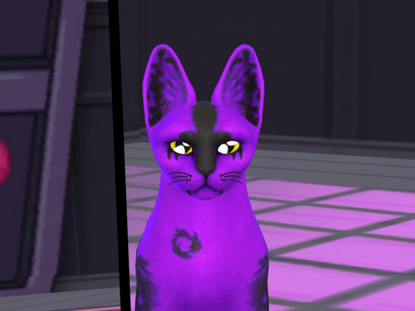 Sims 4 — Memow The Corrupted Cat by PastelHeartKittens — Check out how I made memow on my YouTube channel!! my YouTube