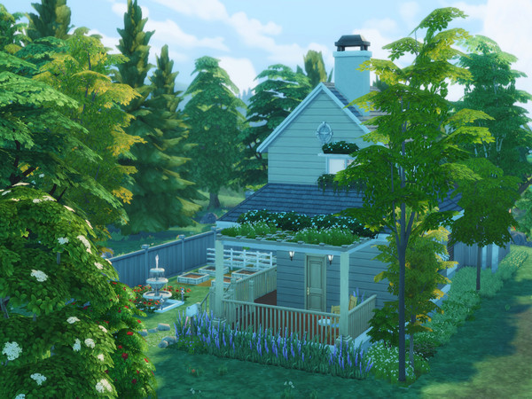 Sims 4 — Solitude by the Forest by AlexWolf03 — You don't need any additions to this plot. The empty room is a shed or