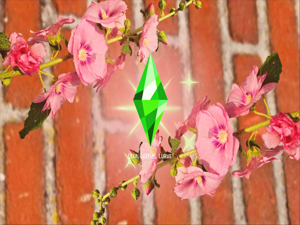 Sims 4 — Patreon - Reyna's Flower by Draven298 — So my friend, Reyna, took a photo of some flowers and it inspired me to