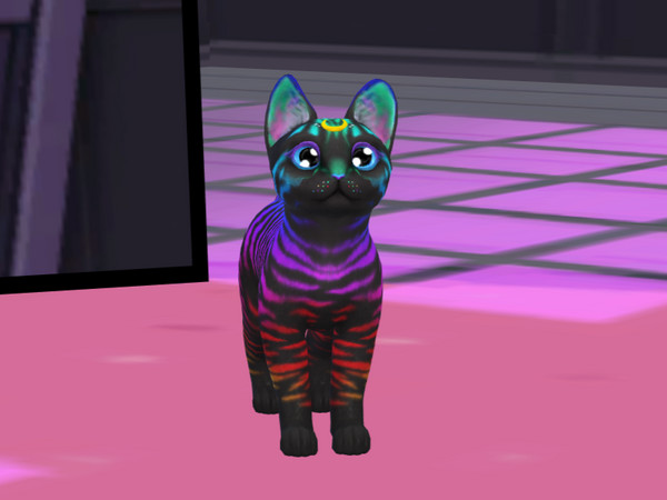 Sims 4 — Rainbow Stripes Kitten by PastelHeartKittens — I love this cat personally, she is so adorable!