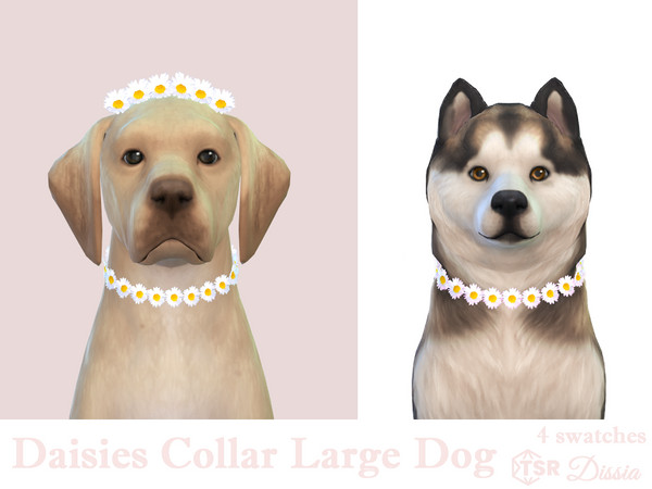 Sims 4 — Daisies Collar Large Dogs by Dissia — Little daisies collar for your large dog
