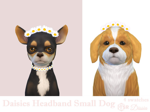 Sims 4 — Daisies Headband Small Dogs by Dissia — Little daisies headband for your small dog