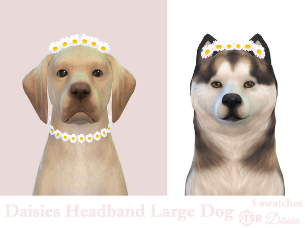 Sims 4 — Daisies Headband Large Dogs by Dissia — Little daisies headband for your large dog