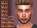 Sims 4 — Adam Eyes N44 by Suzue — 15 Swatches