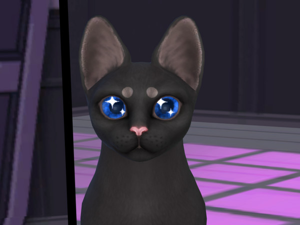 Sims 4 — Saturated Sparkle Cat Eyes by PastelHeartKittens — realistic-ish sparkly eyes for your kitties!