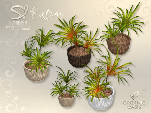 Sims 4 — Organic Oasis Plant Potted dragon tree by SIMcredible! — Do you know when by SIMcredibledesigns.com