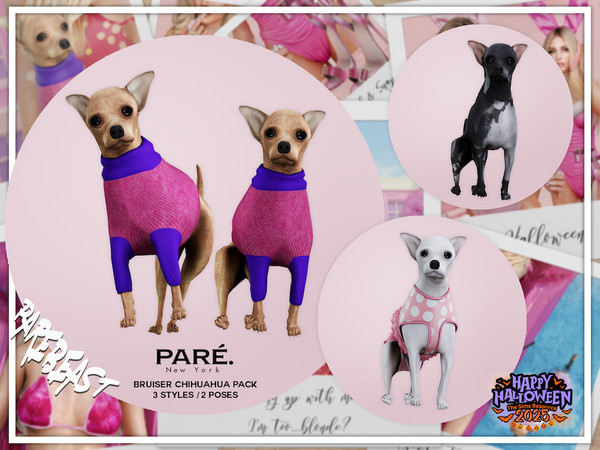 Sims 4 — PARE - Legally PARE Bruiser - Standing by VentaStudio — Bruiser Chihuahua