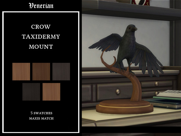 Sims 4 — Crow Taxidermy Mount by Venerian (Maxis Match) by Venerian — A taxidermy mount of the beautiful Corvus corone. 5