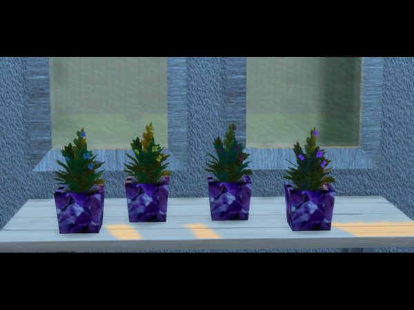 Sims 4 — Nyssa 1 Obisidian Vase Suculent CK by CarineKitana — A collection of vases and plants, familiar but embellished