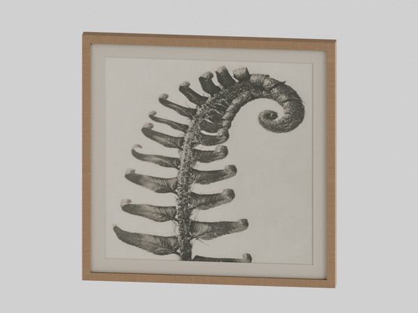 Sims 4 — Delphine Set: Frame by Mechtasims — Delphine Set. Created by Mechtasims.