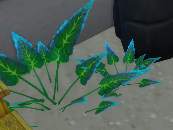 Sims 4 — Blue spear ears by EdnaScissorhands — Low ground bushes inspired by some found in Avatar frontiers of pandora
