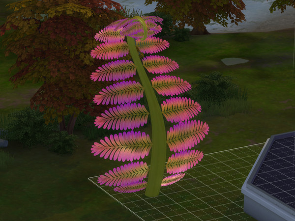 Sims 4 — Bow Fern by EdnaScissorhands — From a pronouncedly bowed central stem, thick rubbery fronds sprout from near the