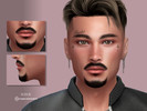 Sims 4 — Scott Beard N20 by Suzue — 10 Swatches