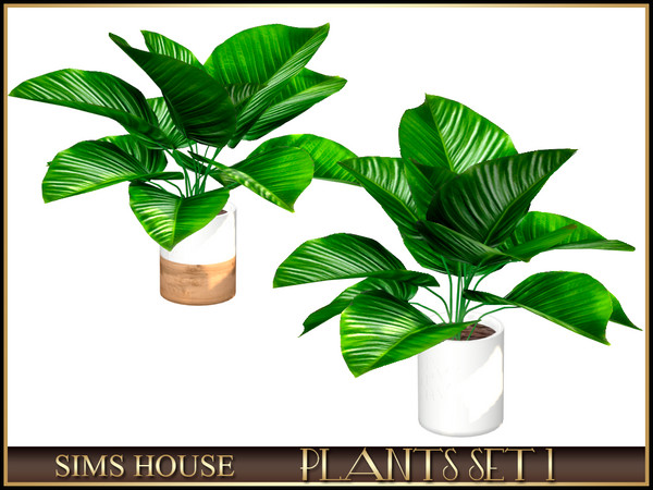 Sims 4 — GREEN PLANT by Sims_House — PLANTS SET 1