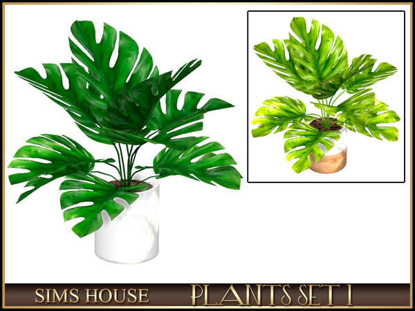 Sims 4 — SMALL MONSTERA by Sims_House — PLANTS SET 1