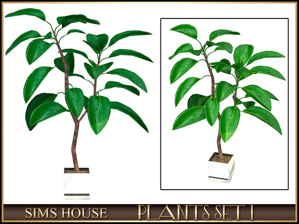 Sims 4 — LARGE FICUS by Sims_House — PLANTS SET 1