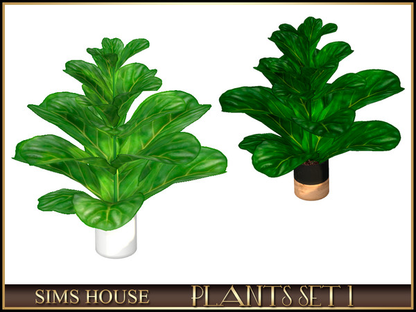 Sims 4 — SMALL FICUS by Sims_House — PLANTS SET 1