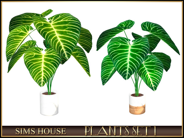 Sims 4 — PHILODENDRON by Sims_House — PLANTS SET 1