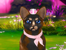 Sims 4 — Cats Crown Legacy Smaller Version by PastelHeartKittens — give your cats the crown with these cute crowns! you