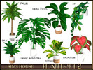 Sims 4 — PLANTS SET 2 by Sims_House — PLANTS SET 2