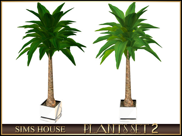 Sims 4 — PALM by Sims_House — PLANTS SET 2