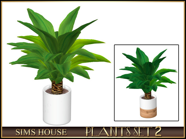 Sims 4 — SMALL DRACAENA by Sims_House — PLANTS SET 2
