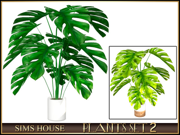 Sims 4 — LARGE MONSTERA by Sims_House — PLANTS SET 2
