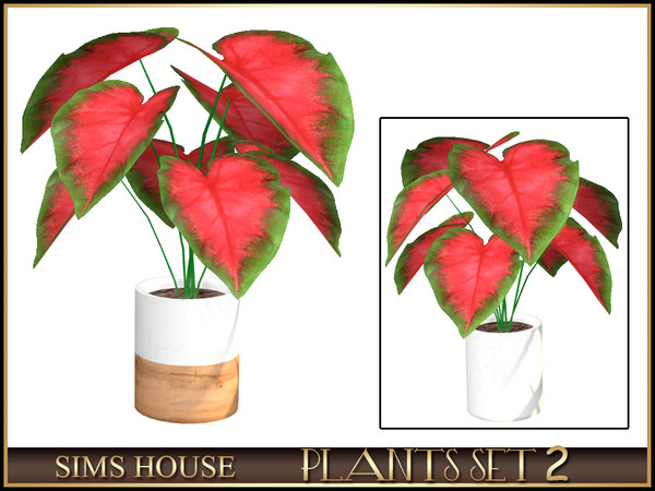 Sims 4 — CALADIUM by Sims_House — PLANTS SET 2